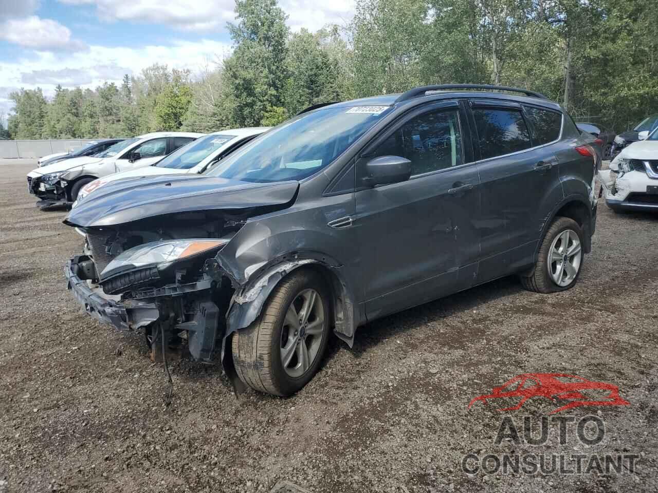 FORD ESCAPE 2014 - 1FMCU0G99EUC03292