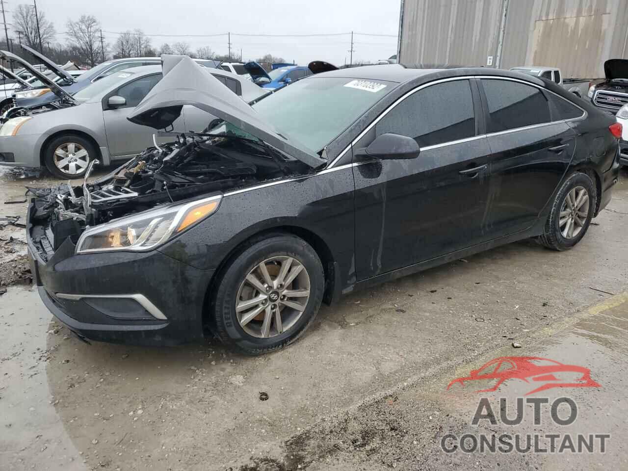 HYUNDAI SONATA 2017 - 5NPE24AF4HH567062