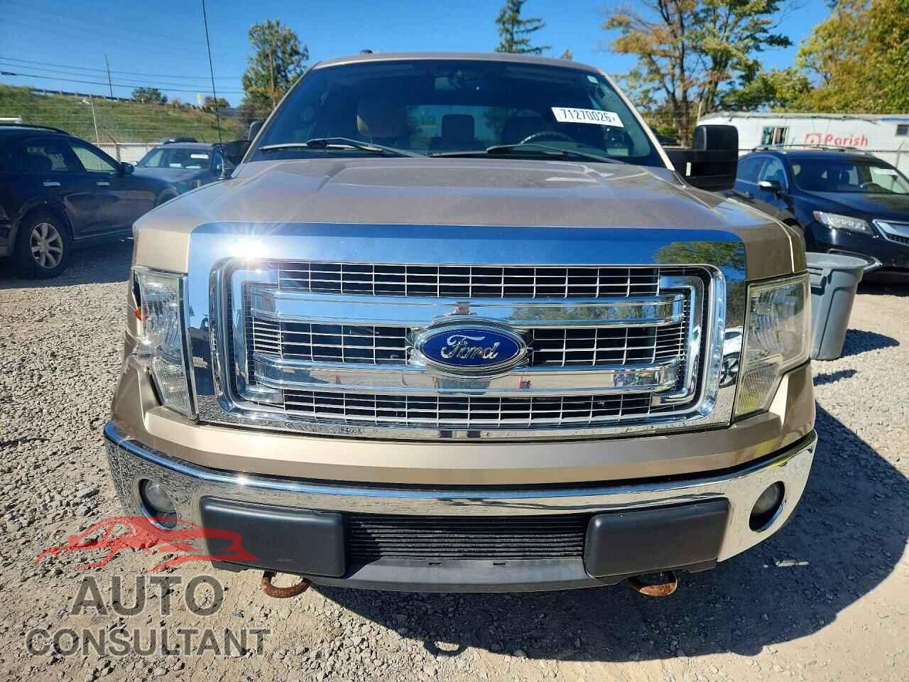 FORD F150 2013 - 1FTFX1EF9DFC78066
