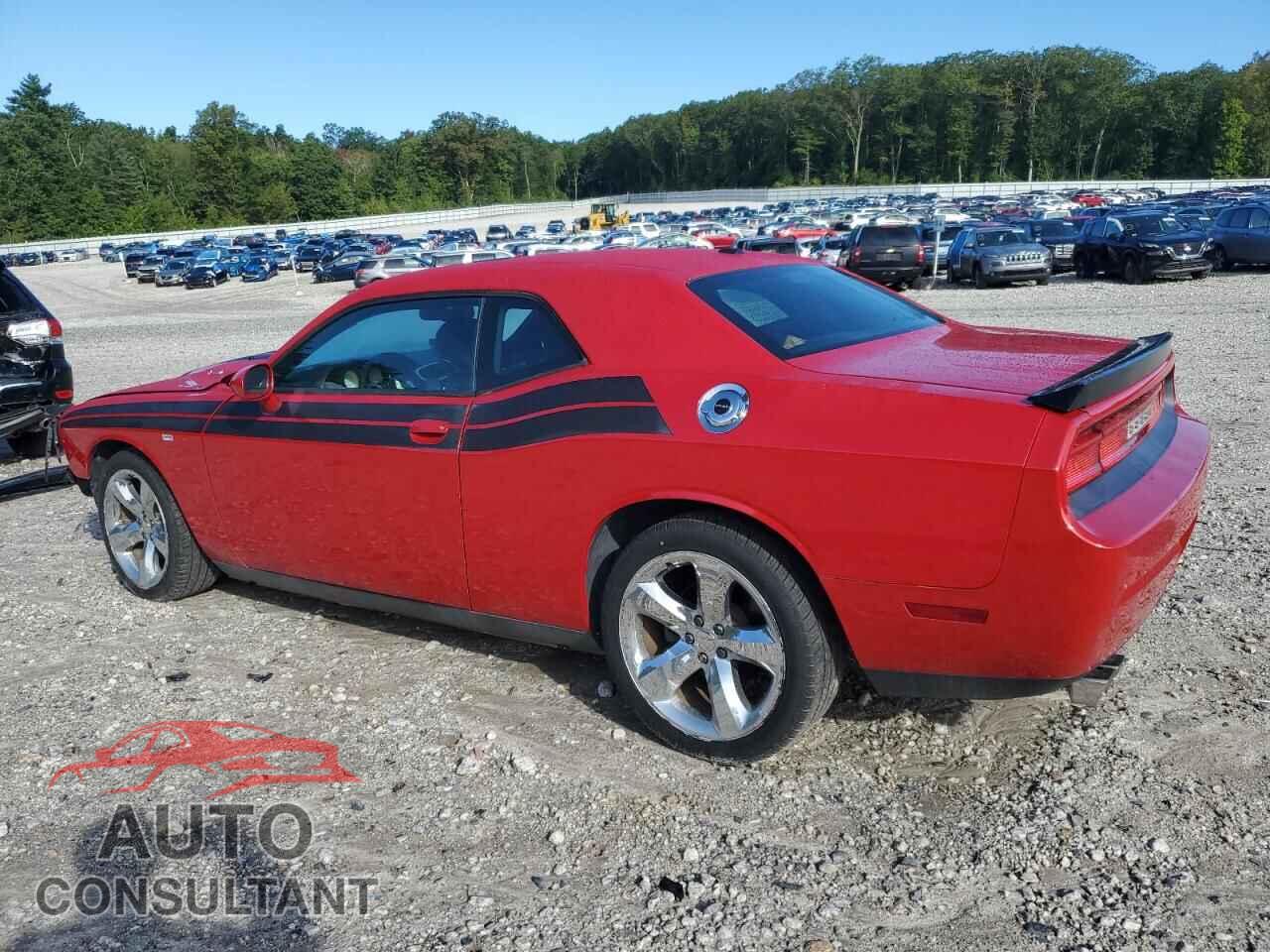 DODGE CHALLENGER 2013 - 2C3CDYBT0DH614575