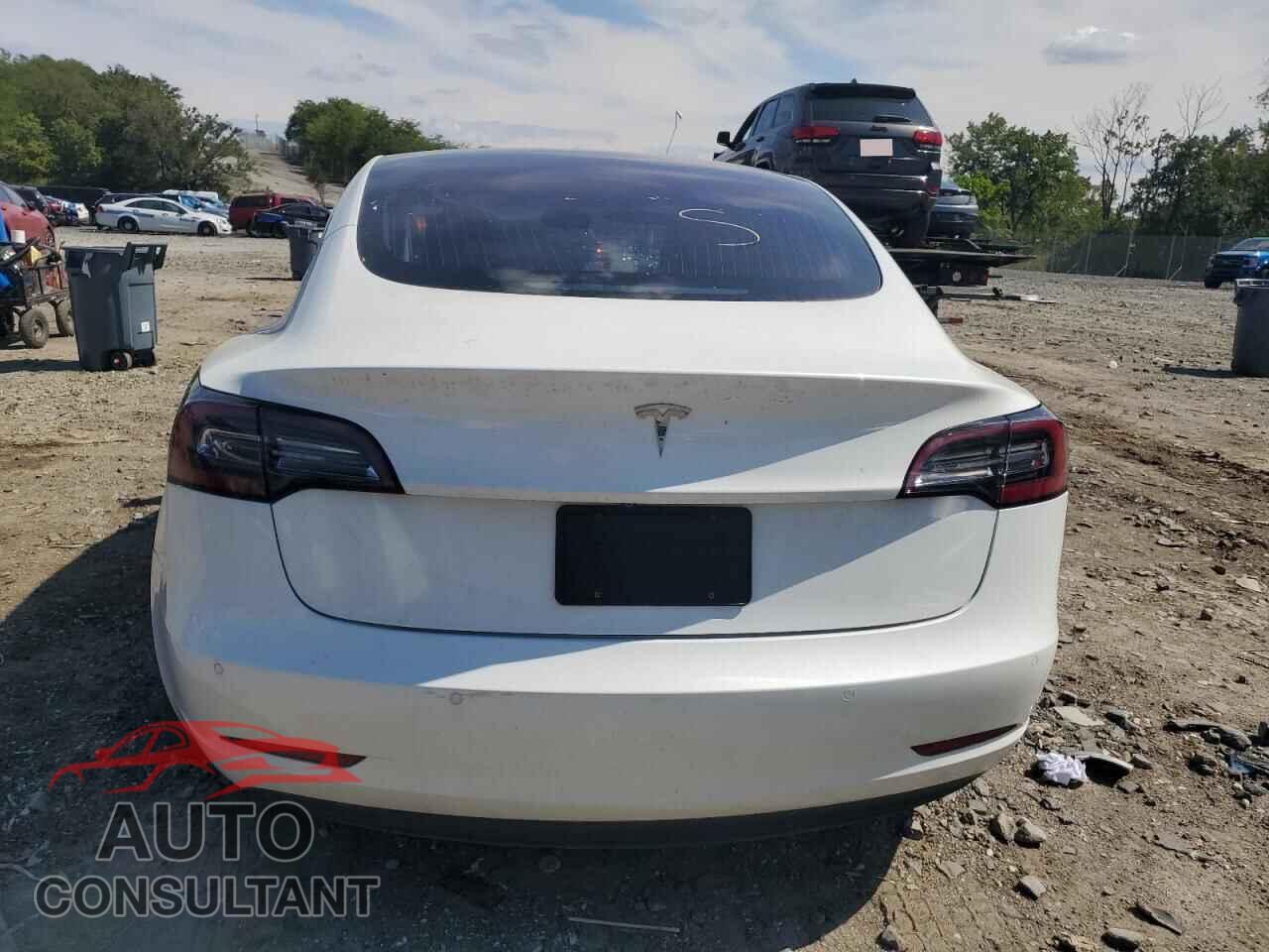 TESLA MODEL 3 2019 - 5YJ3E1EA7KF310155