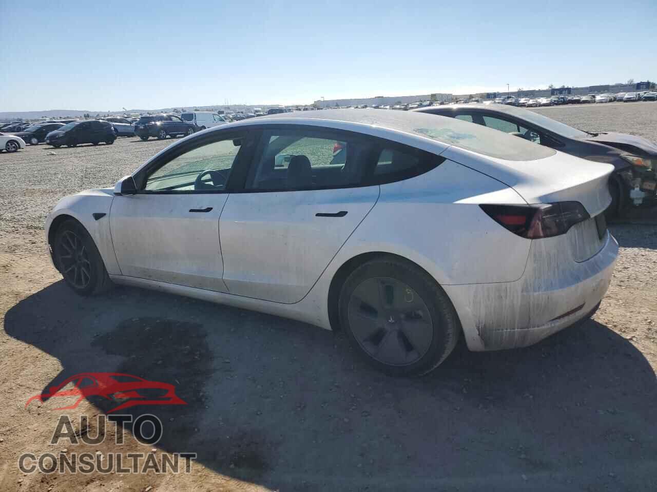 TESLA MODEL 3 2023 - 5YJ3E1EA3PF544977