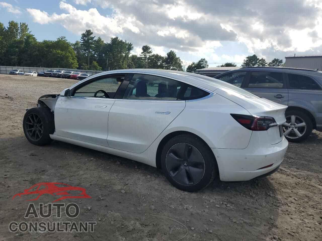 TESLA MODEL 3 2019 - 5YJ3E1EB8KF511894