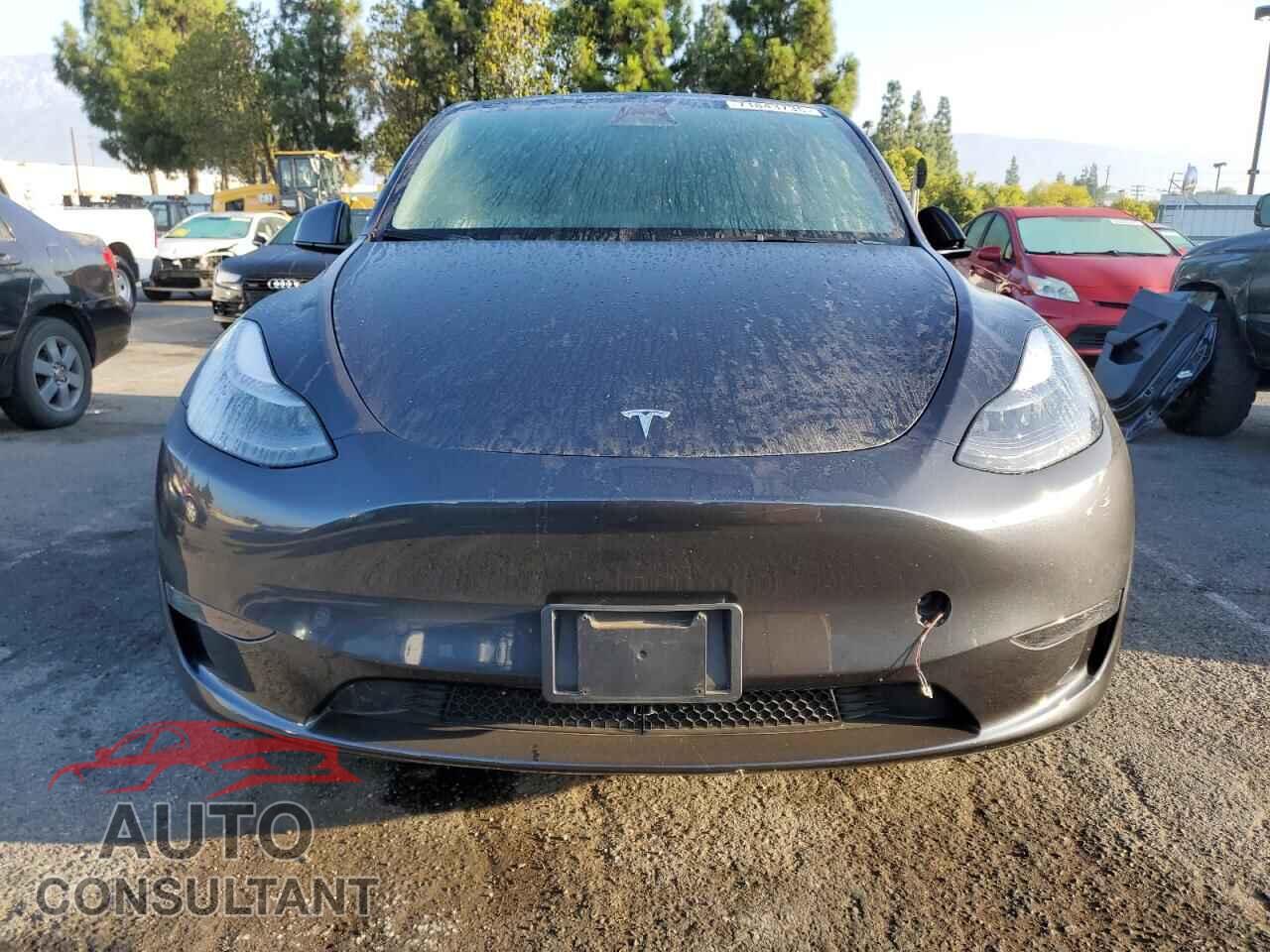 TESLA MODEL Y 2024 - 7SAYGDED2RF103181