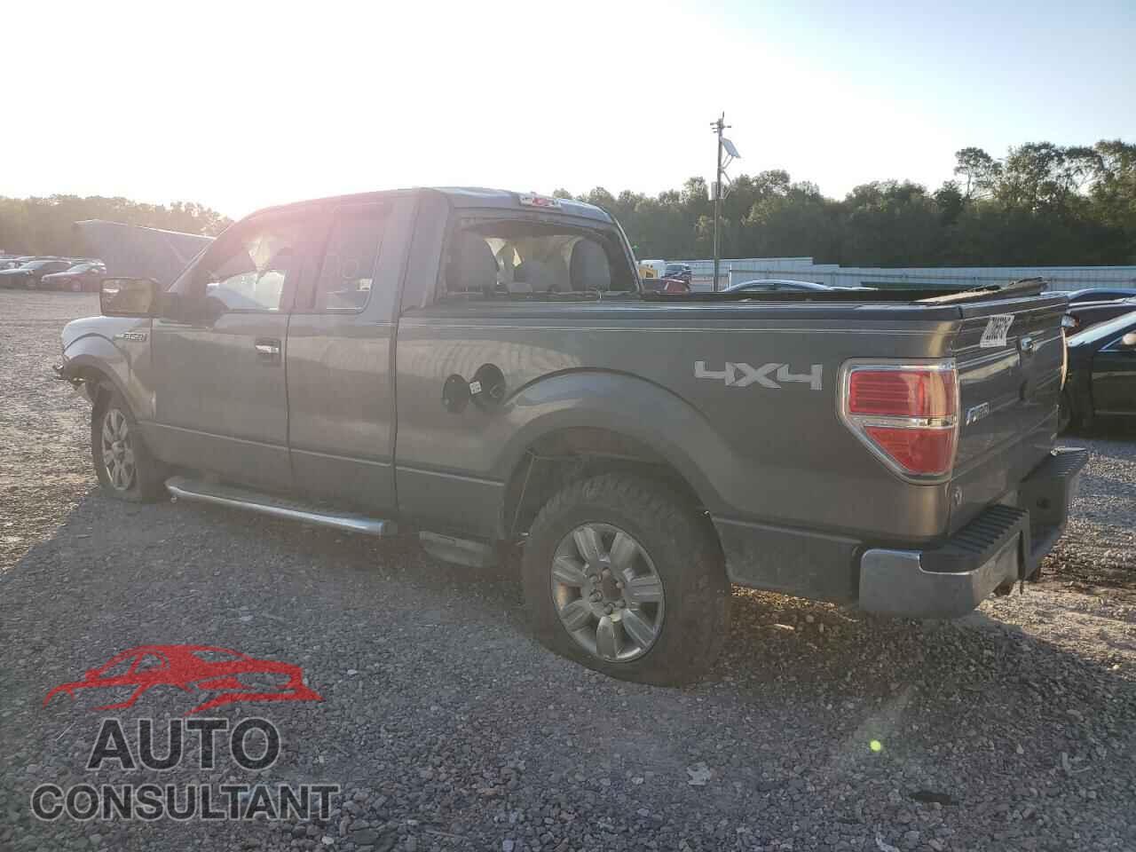 FORD F-150 2011 - 1FTFX1EF2BFB69087
