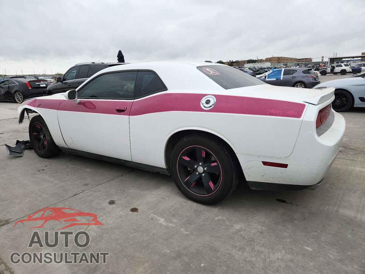 DODGE CHALLENGER 2013 - 2C3CDYBT9DH562878