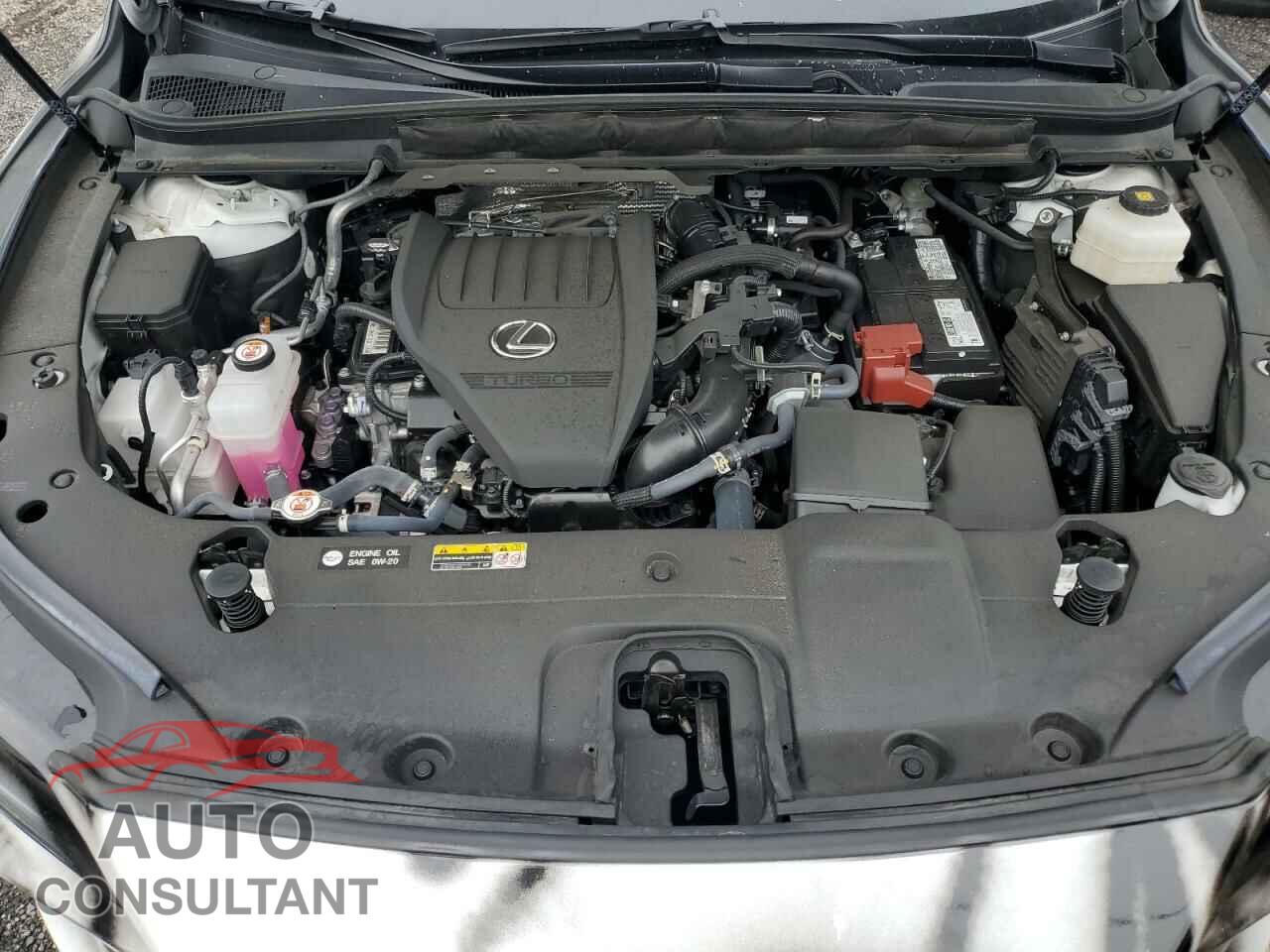 LEXUS RX350 2023 - 2T2BAMCA4PC018806