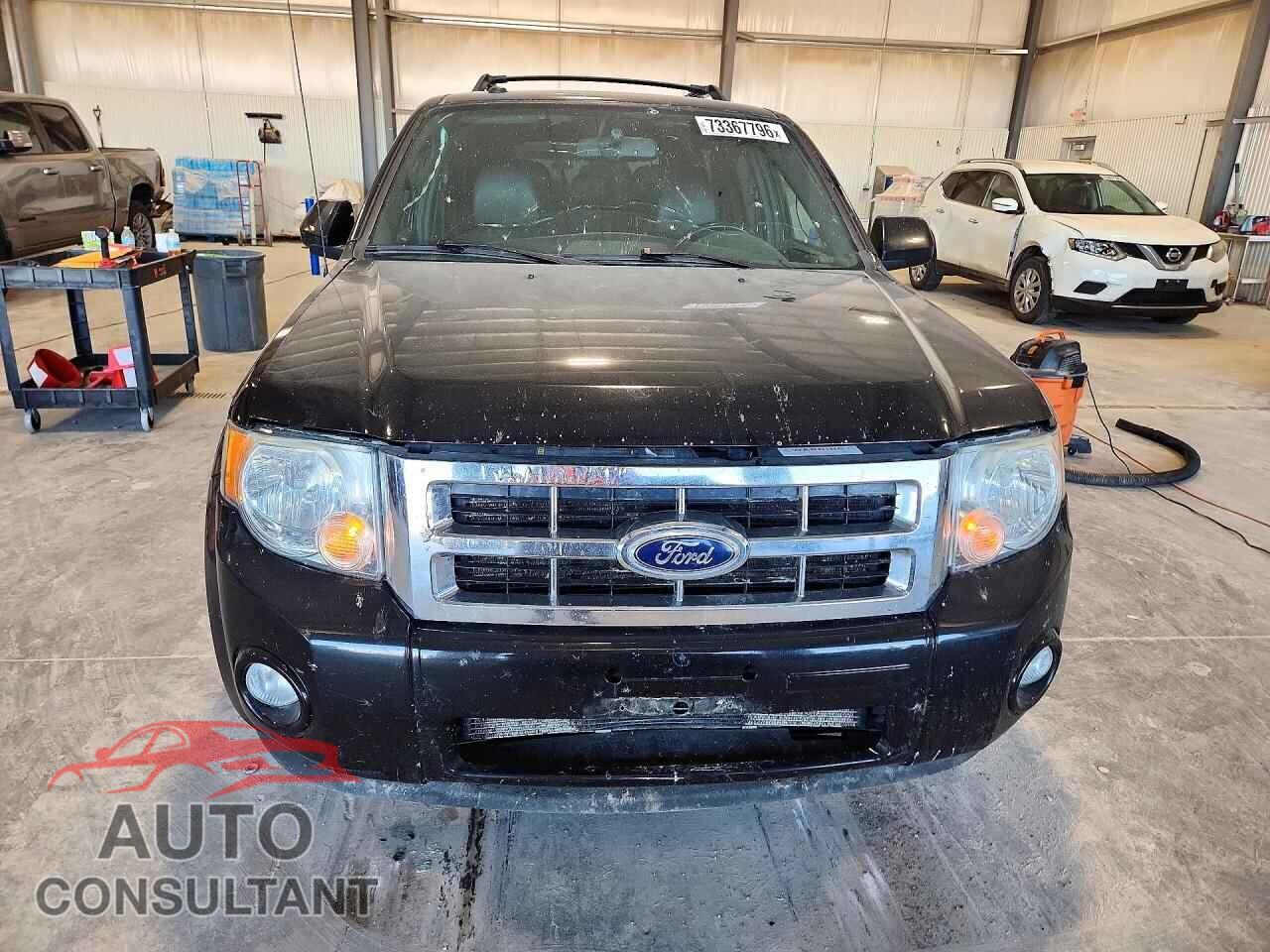 FORD ESCAPE 2011 - 1FMCU9EG4BKC51506