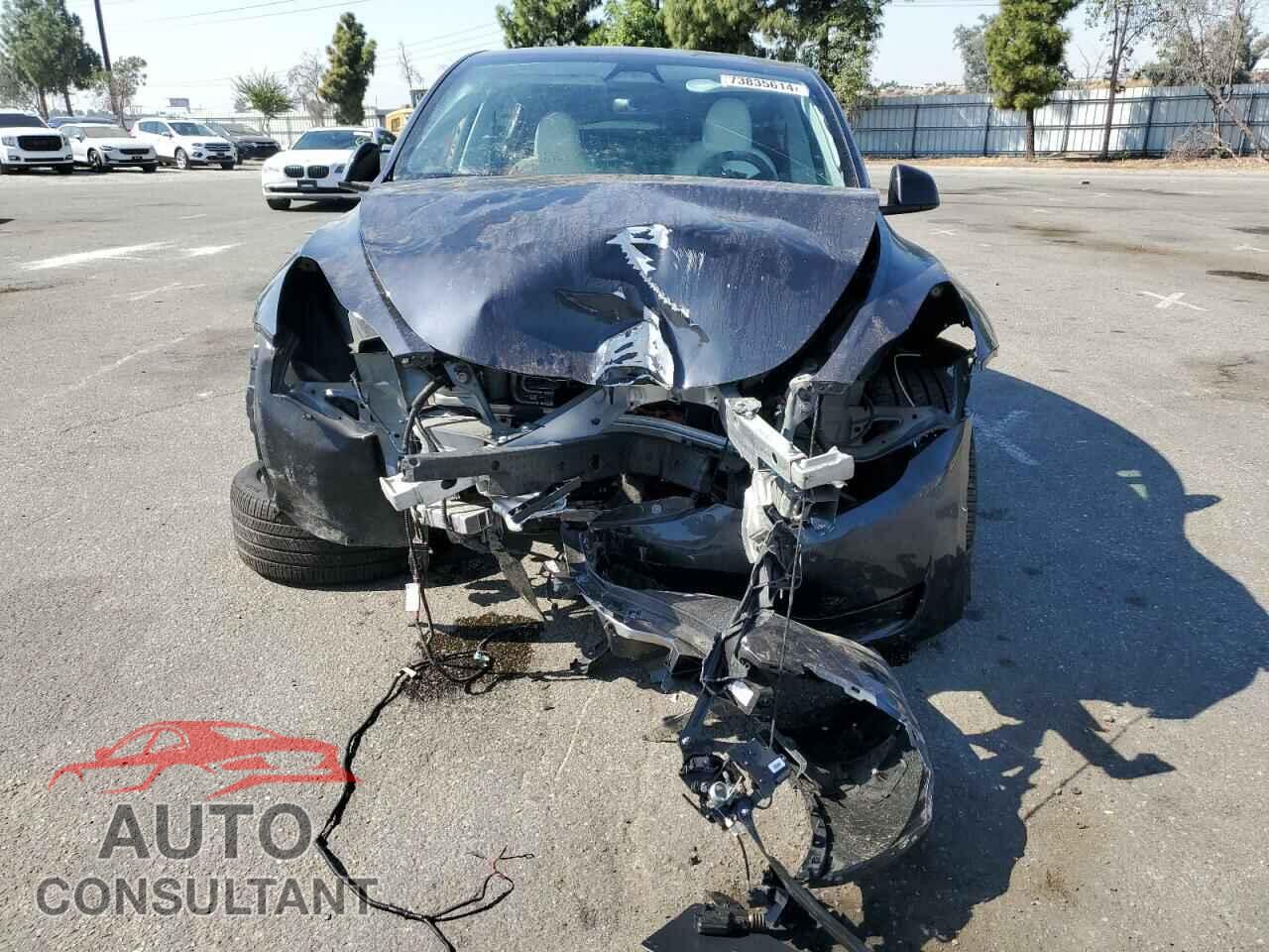 TESLA MODEL Y 2024 - 7SAYGDEE5RA233073