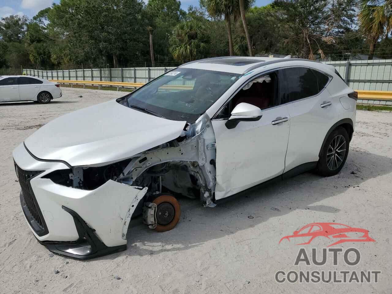 LEXUS NX 250 PRE 2024 - 2T2GDCAZ2RC006253