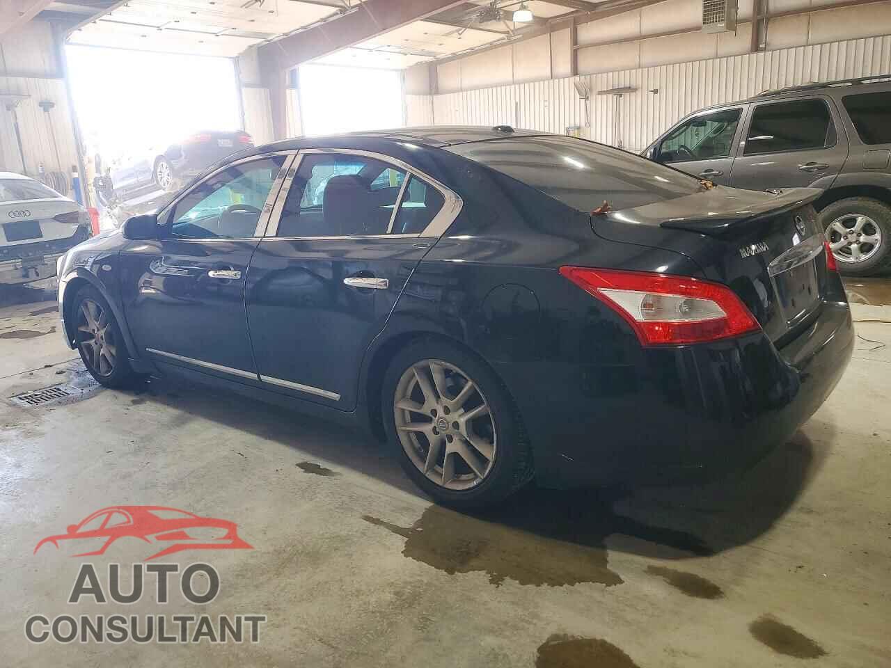 NISSAN MAXIMA 2009 - 1N4AA51E79C843106