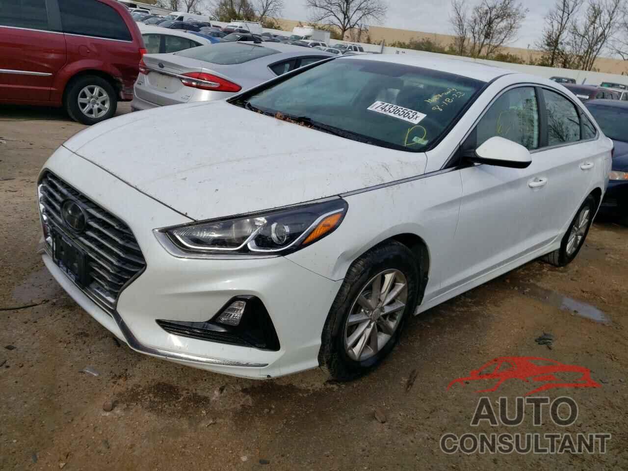 HYUNDAI SONATA 2019 - 5NPE24AFXKH735603