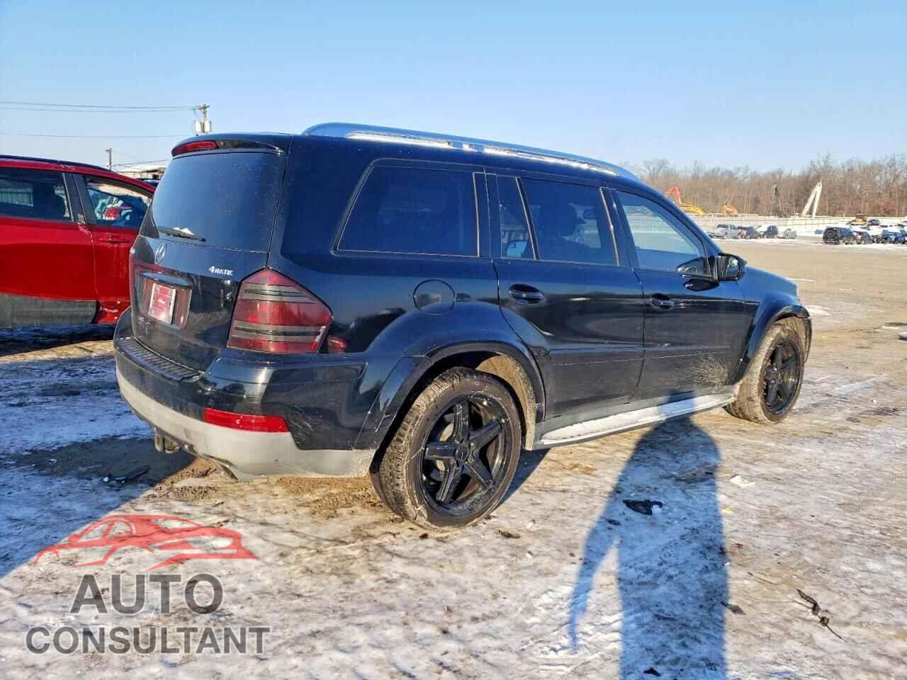 MERCEDES-BENZ GL-CLASS 2009 - 4JGBF86E99A460480
