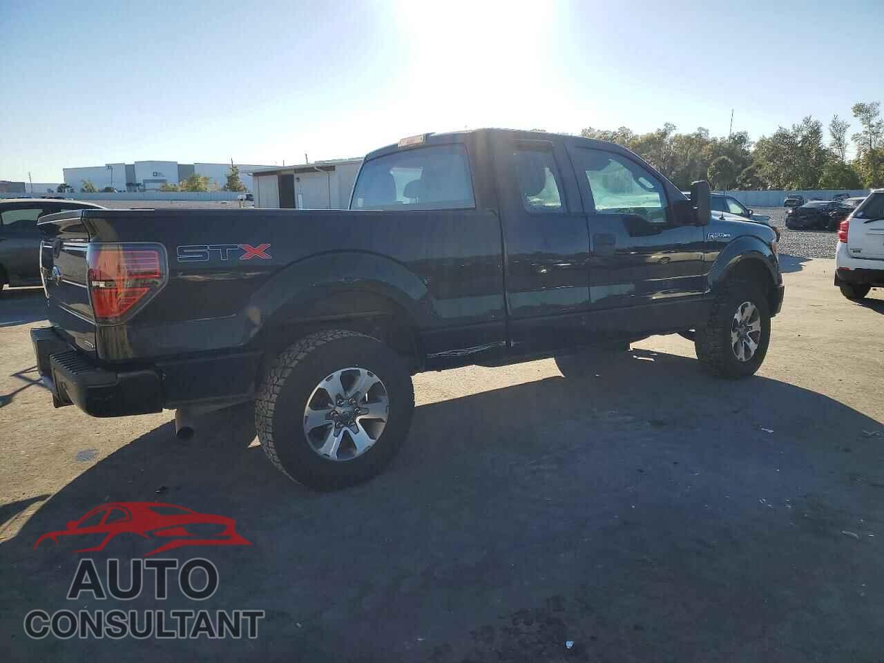 FORD F-150 2013 - 1FTFX1CF5DFD23216