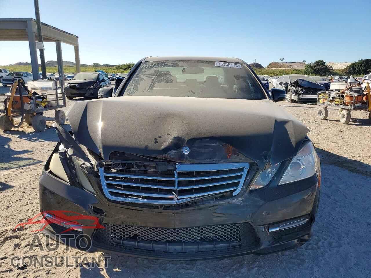 MERCEDES-BENZ E-CLASS 2013 - WDDHF5KB3DA767084