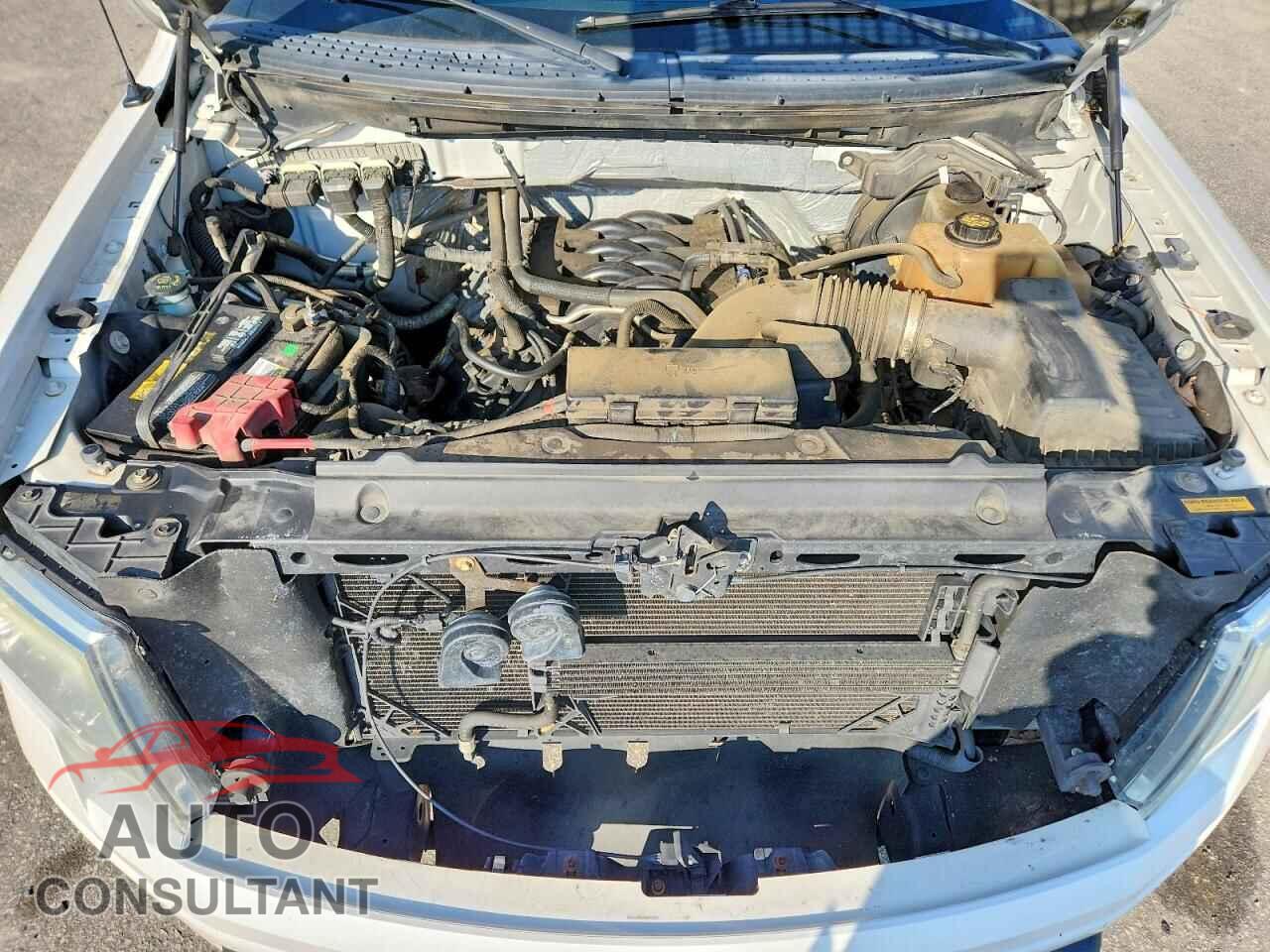 FORD F-150 2011 - 1FTFW1EF6BFA45357