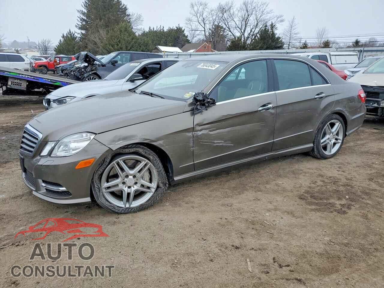 MERCEDES-BENZ E-CLASS 2013 - WDDHF9BB6DA703869