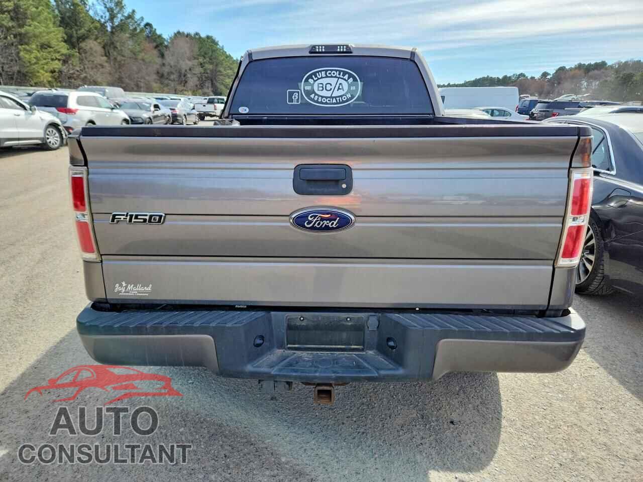 FORD F-150 2013 - 1FTFX1EF3DFC32152