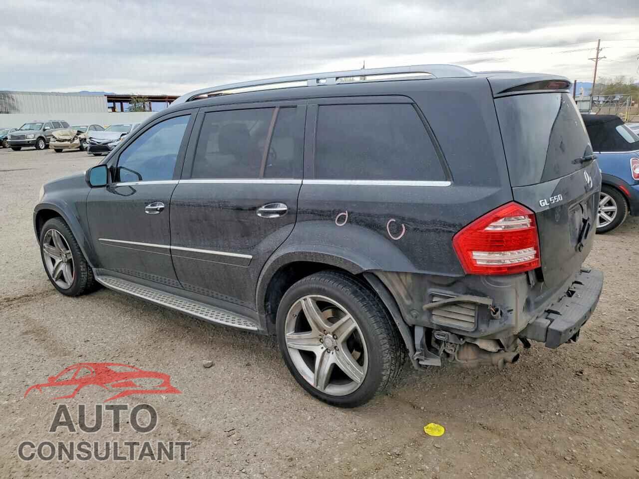 MERCEDES-BENZ GL-CLASS 2010 - 4JGBF8GE2AA590586