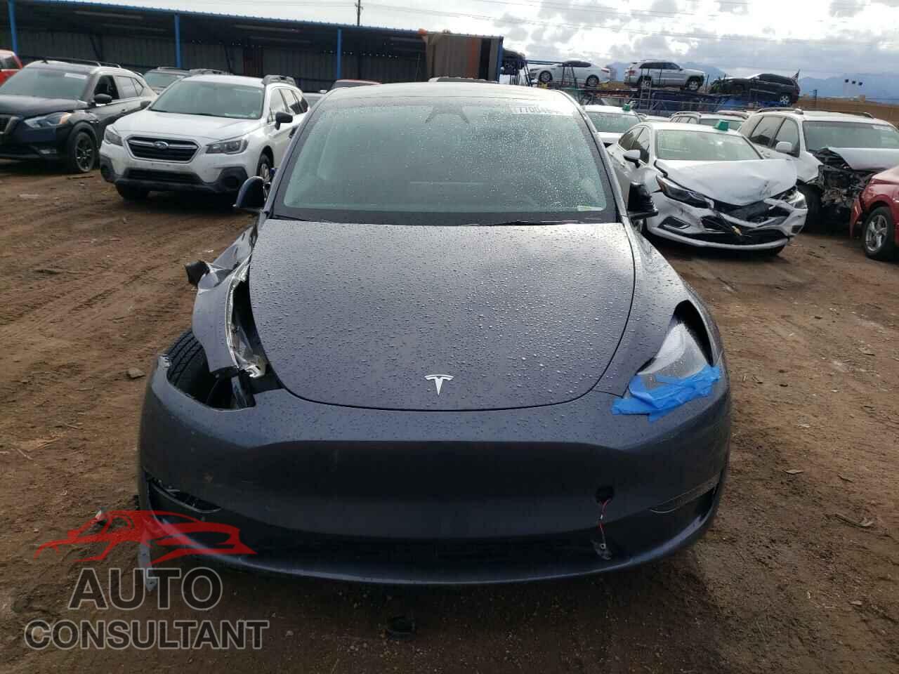 TESLA MODEL Y 2023 - 7SAYGAEEXPF848264