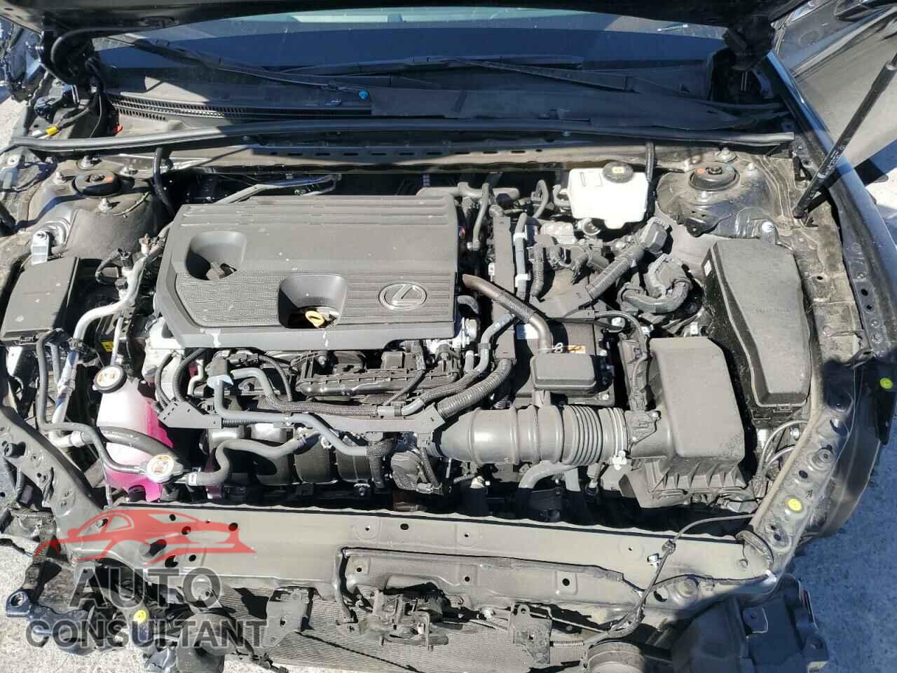 LEXUS ES300 2024 - 58ADA1C19RU052147