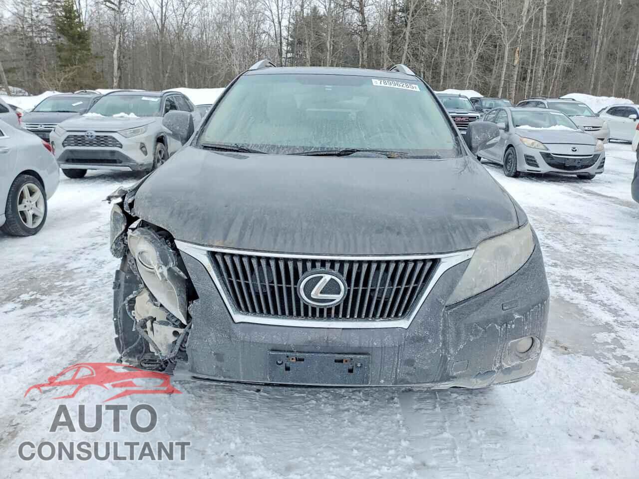 LEXUS RX350 2010 - 2T2BK1BA8AC010762