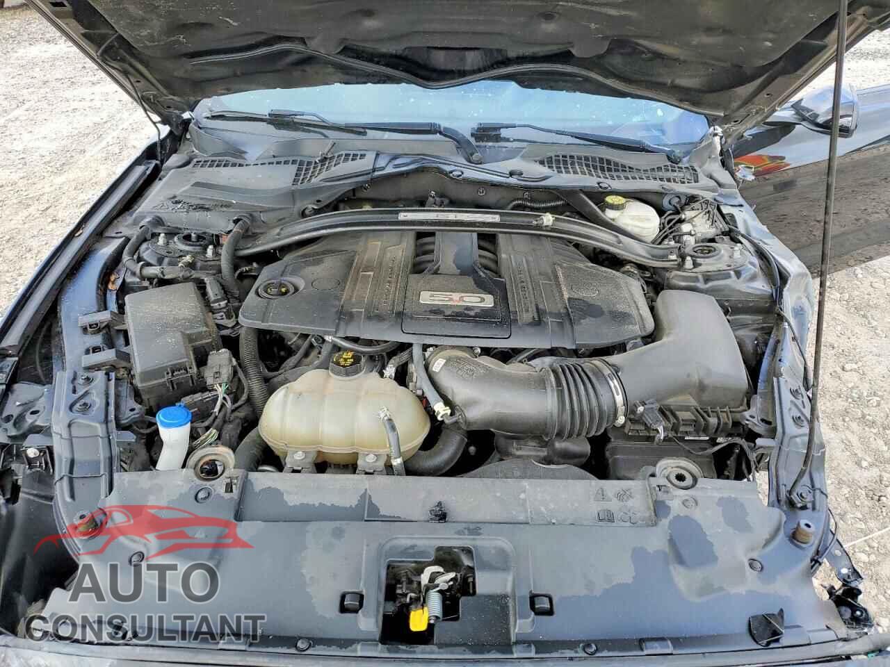 FORD MUSTANG 2021 - 1FA6P8CF4M5113338