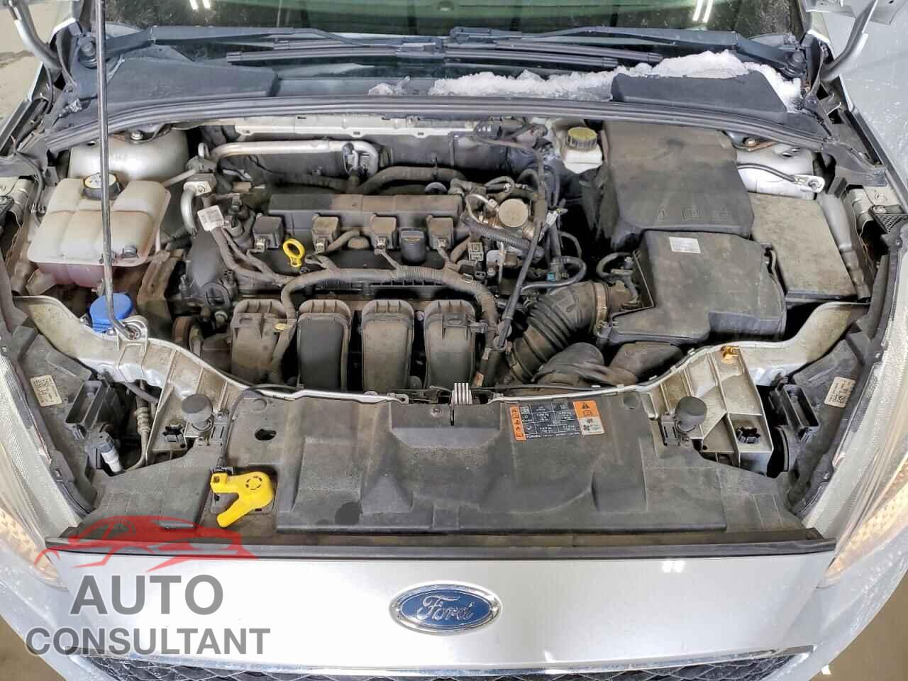 FORD FOCUS 2017 - 1FADP3E2XHL316689