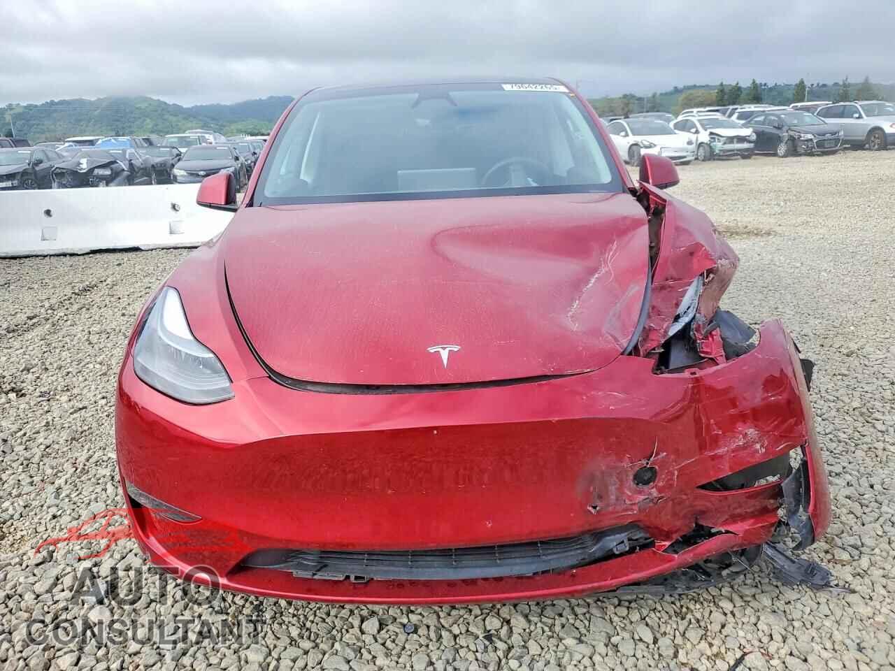 TESLA MODEL Y 2024 - 7SAYGDEE5RF068757