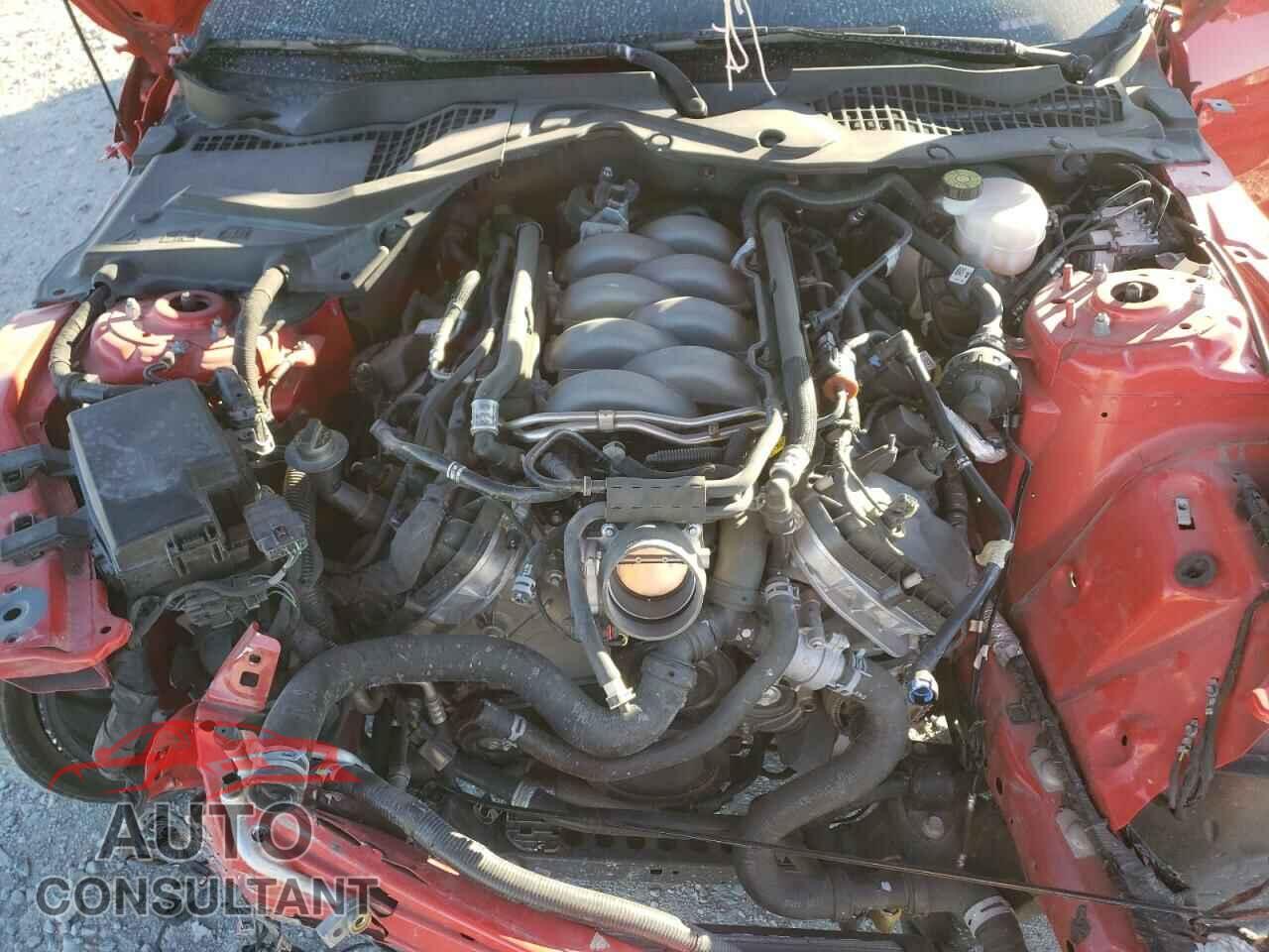 FORD MUSTANG 2020 - 1FA6P8CF2L5146241