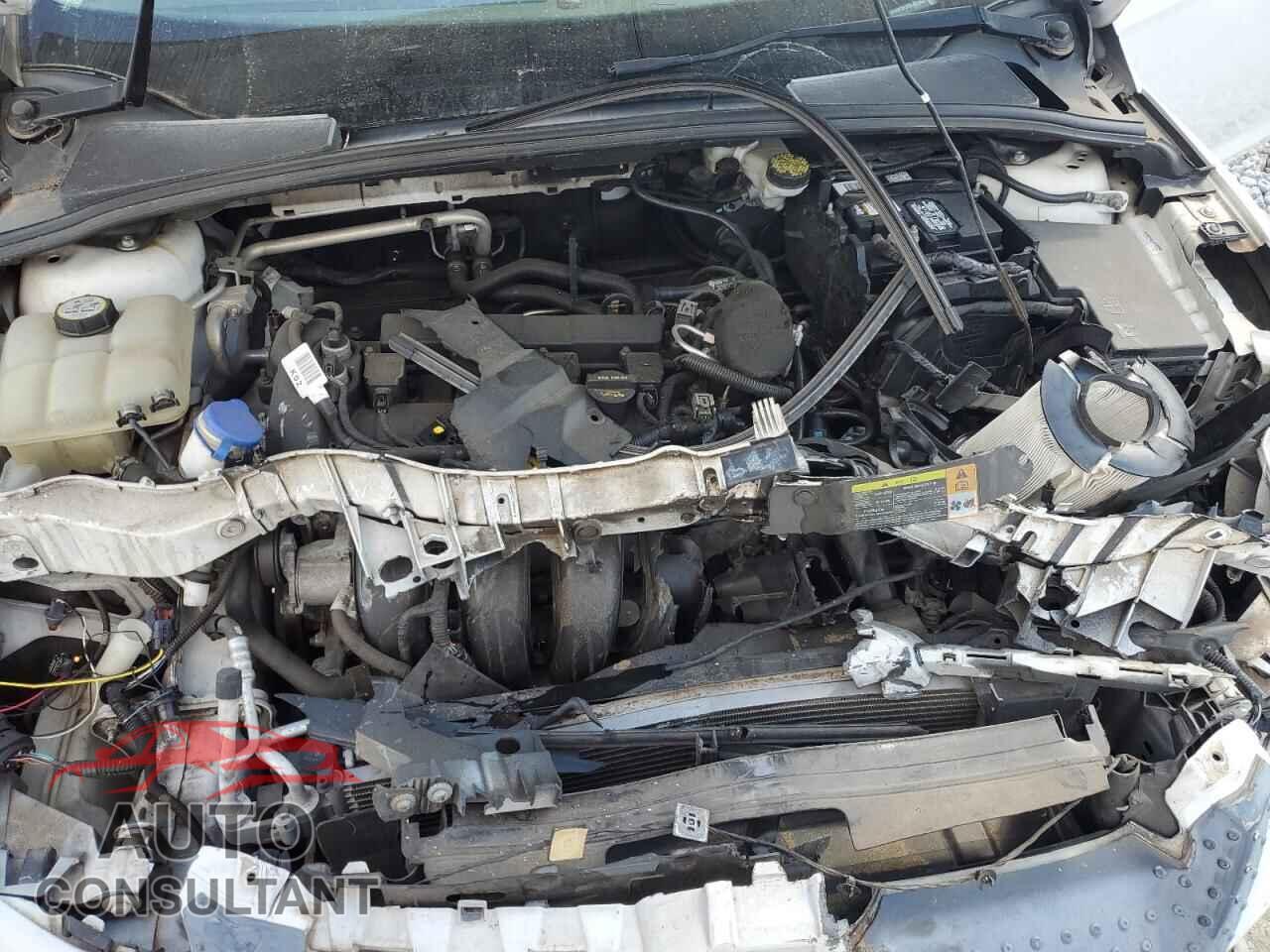 FORD FOCUS 2012 - 1FAHP3F2XCL402450