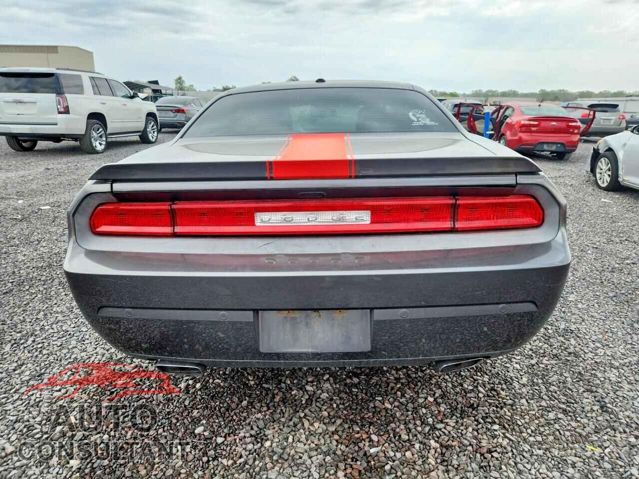 DODGE CHALLENGER 2013 - 2C3CDYAG2DH632919