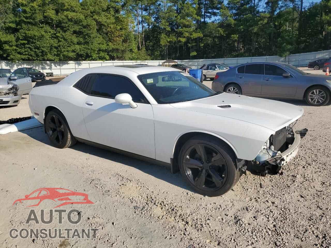 DODGE CHALLENGER 2013 - 2C3CDYAG4DH524852