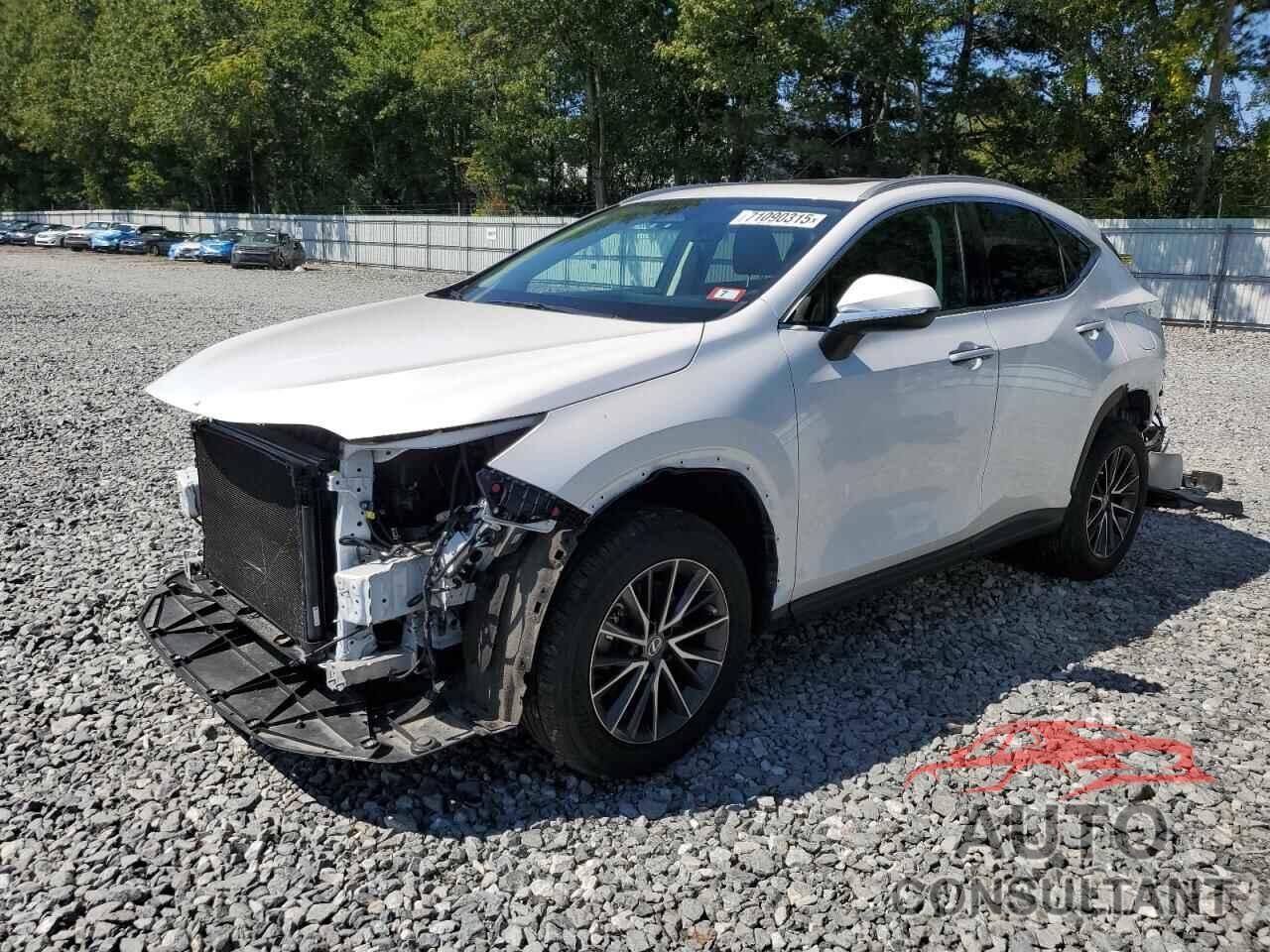 LEXUS NX 350 2022 - 2T2GGCEZ4NC005777