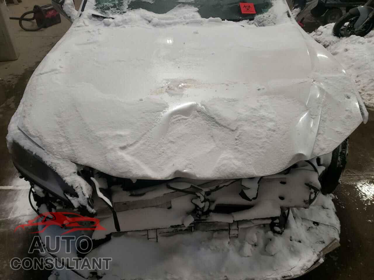 LEXUS ES300 2019 - JTHB21B15K2008583