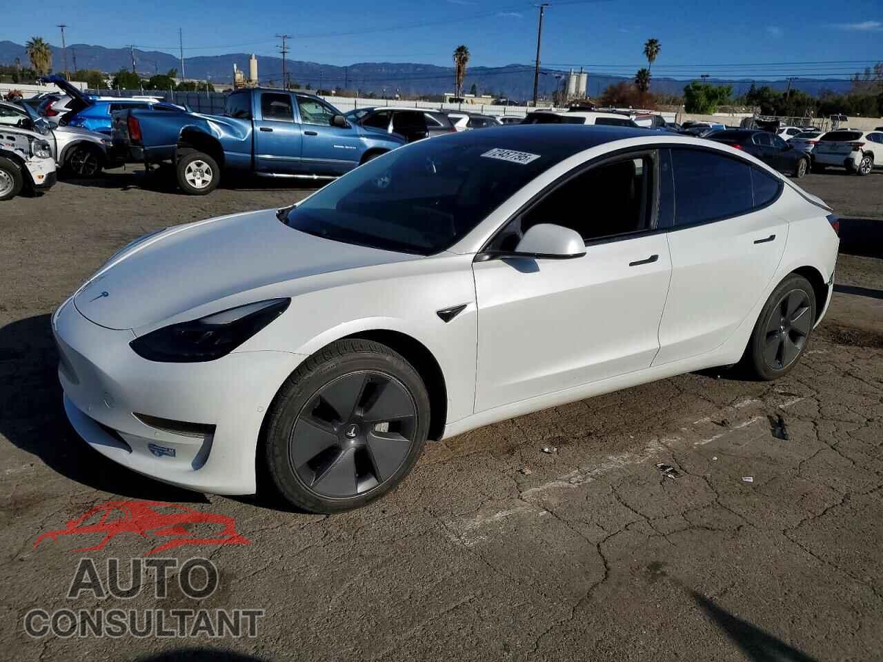 TESLA MODEL 3 2021 - 5YJ3E1EA2MF873746