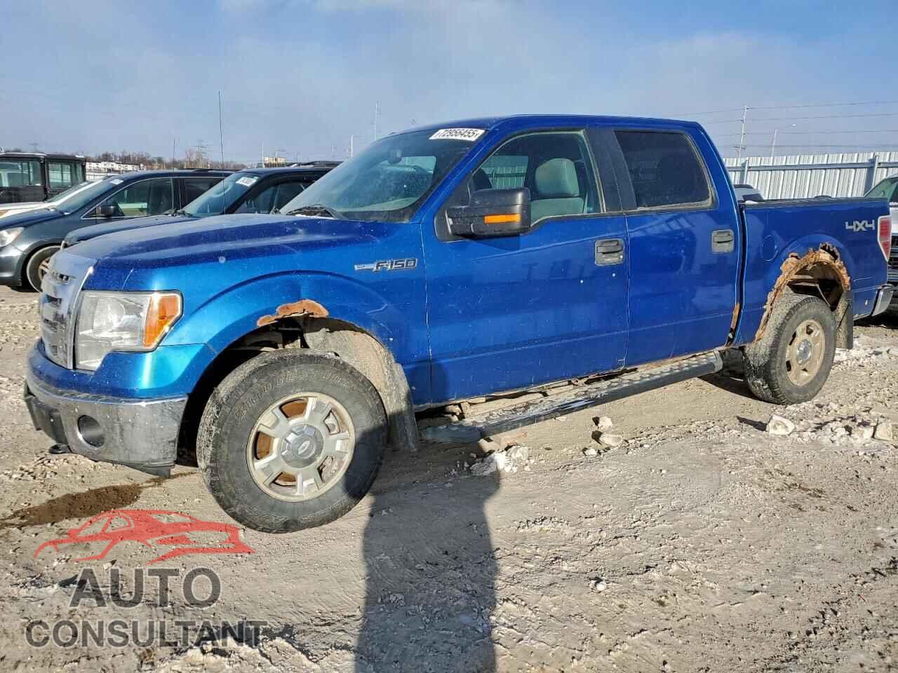 FORD F-150 2011 - 1FTFW1EF3BKD20738