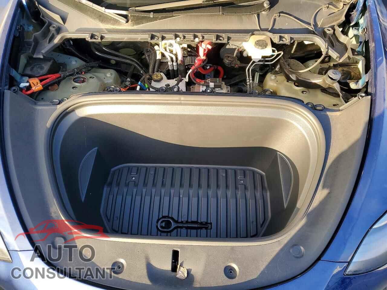 TESLA MODEL Y 2024 - 7SAYGDEE6RF081145