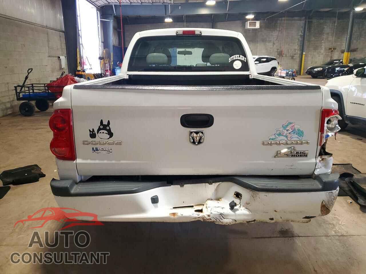 DODGE DAKOTA 2011 - 1D7RW3GK8BS608375