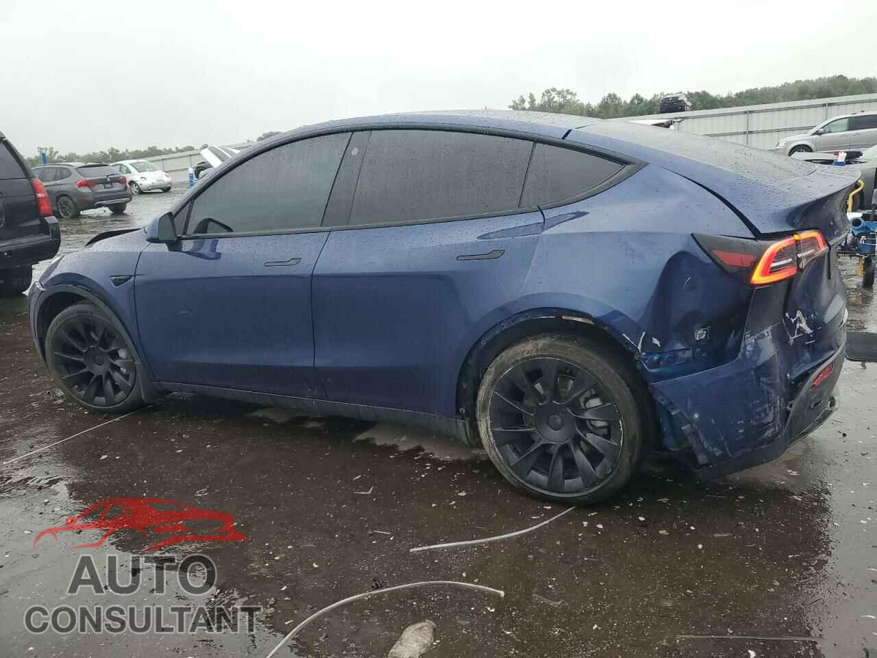 TESLA MODEL Y 2022 - 7SAYGDEEXNF481008