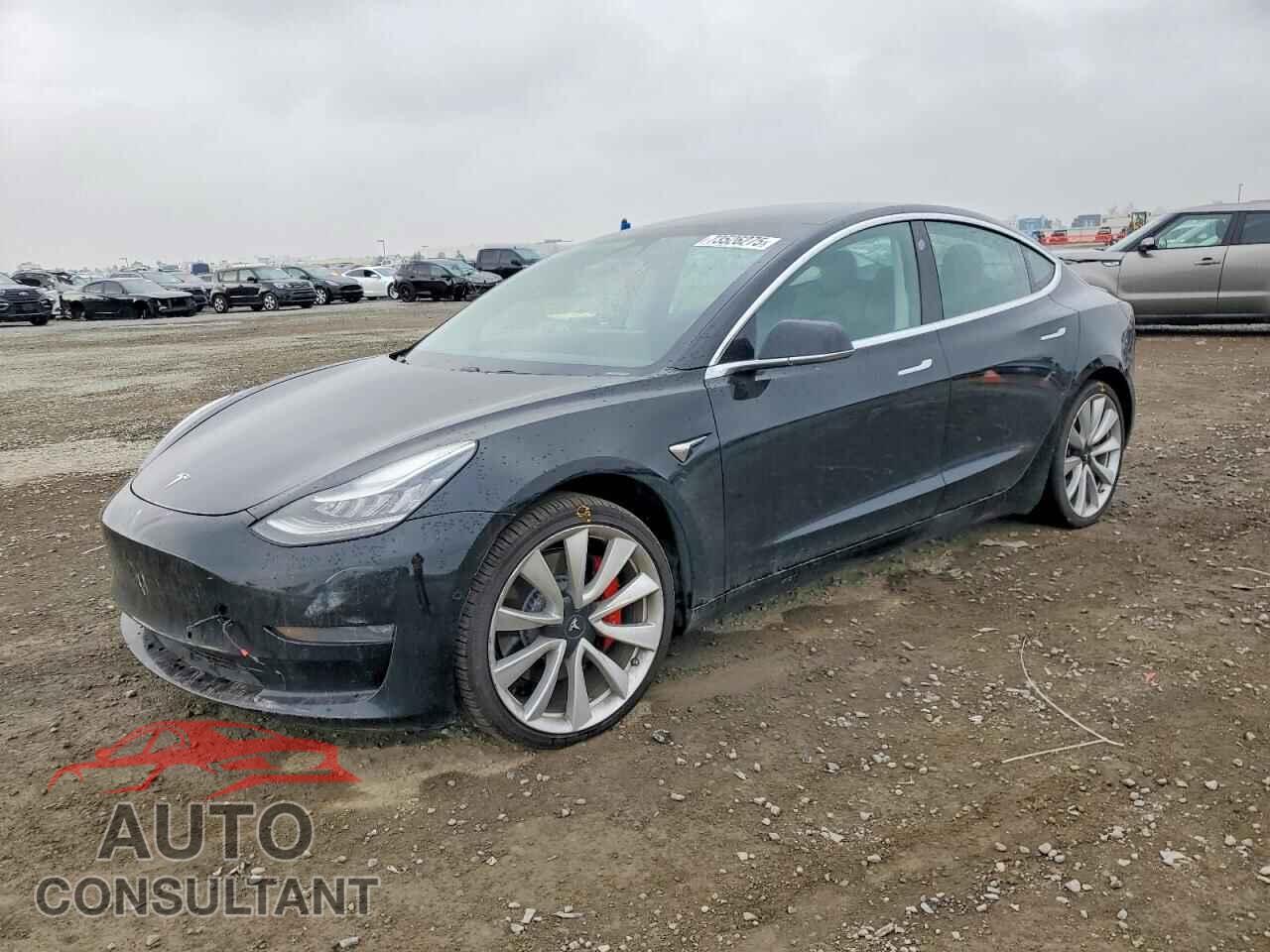 TESLA MODEL 3 2019 - 5YJ3E1EB9KF487217