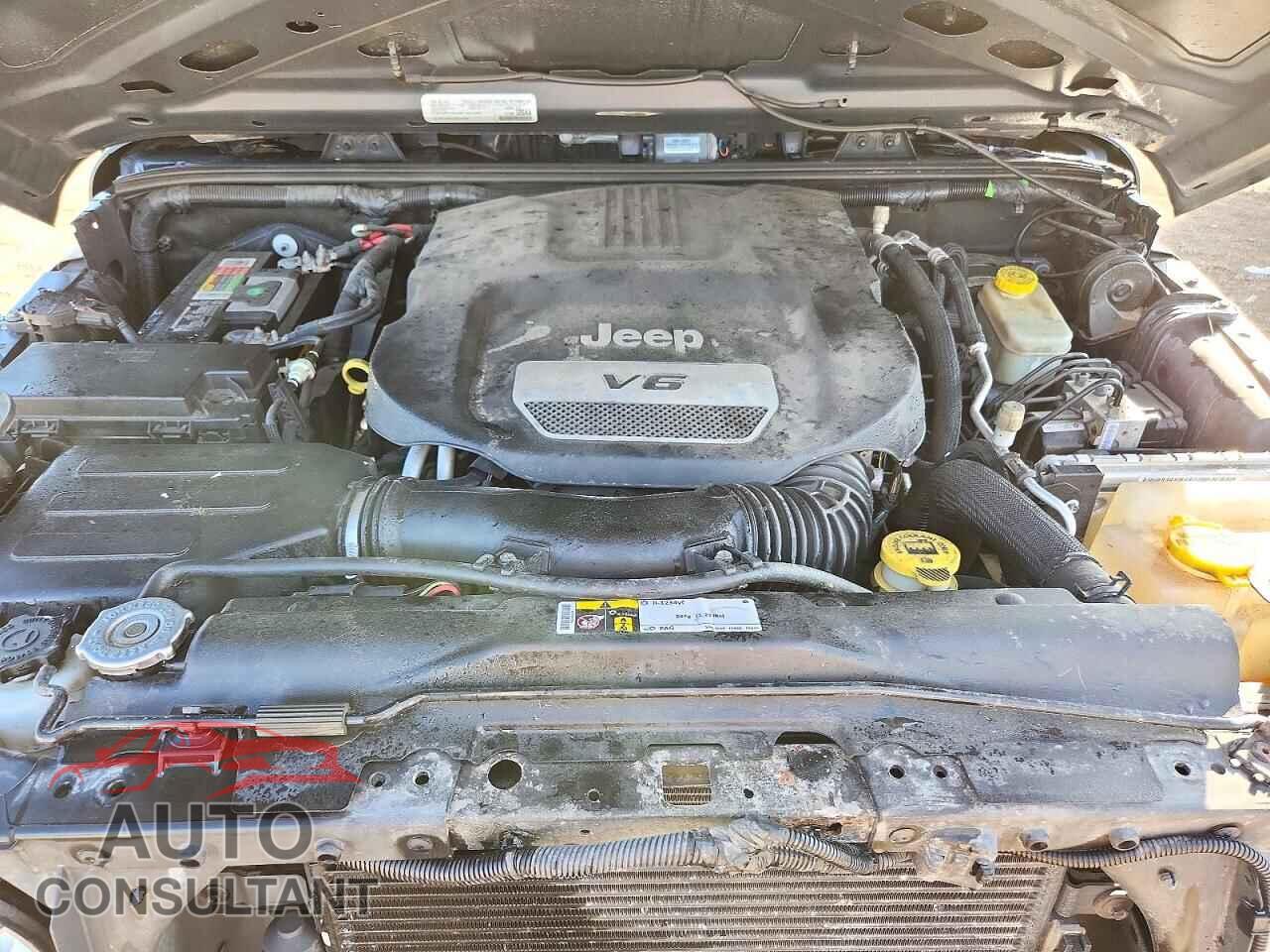 JEEP WRANGLER 2016 - 1C4AJWAG8GL194026