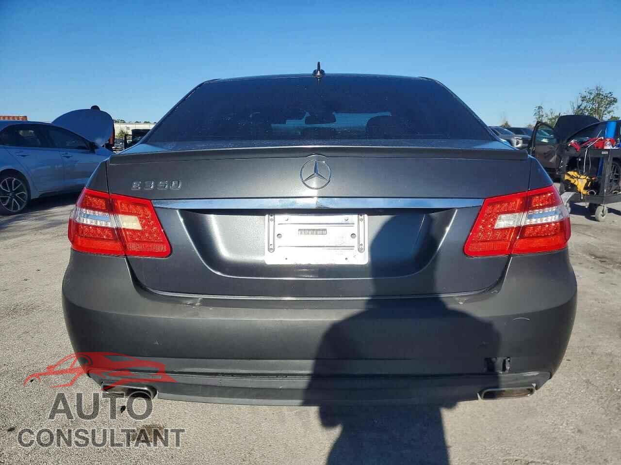 MERCEDES-BENZ E-CLASS 2010 - WDDHF5GB7AA071302