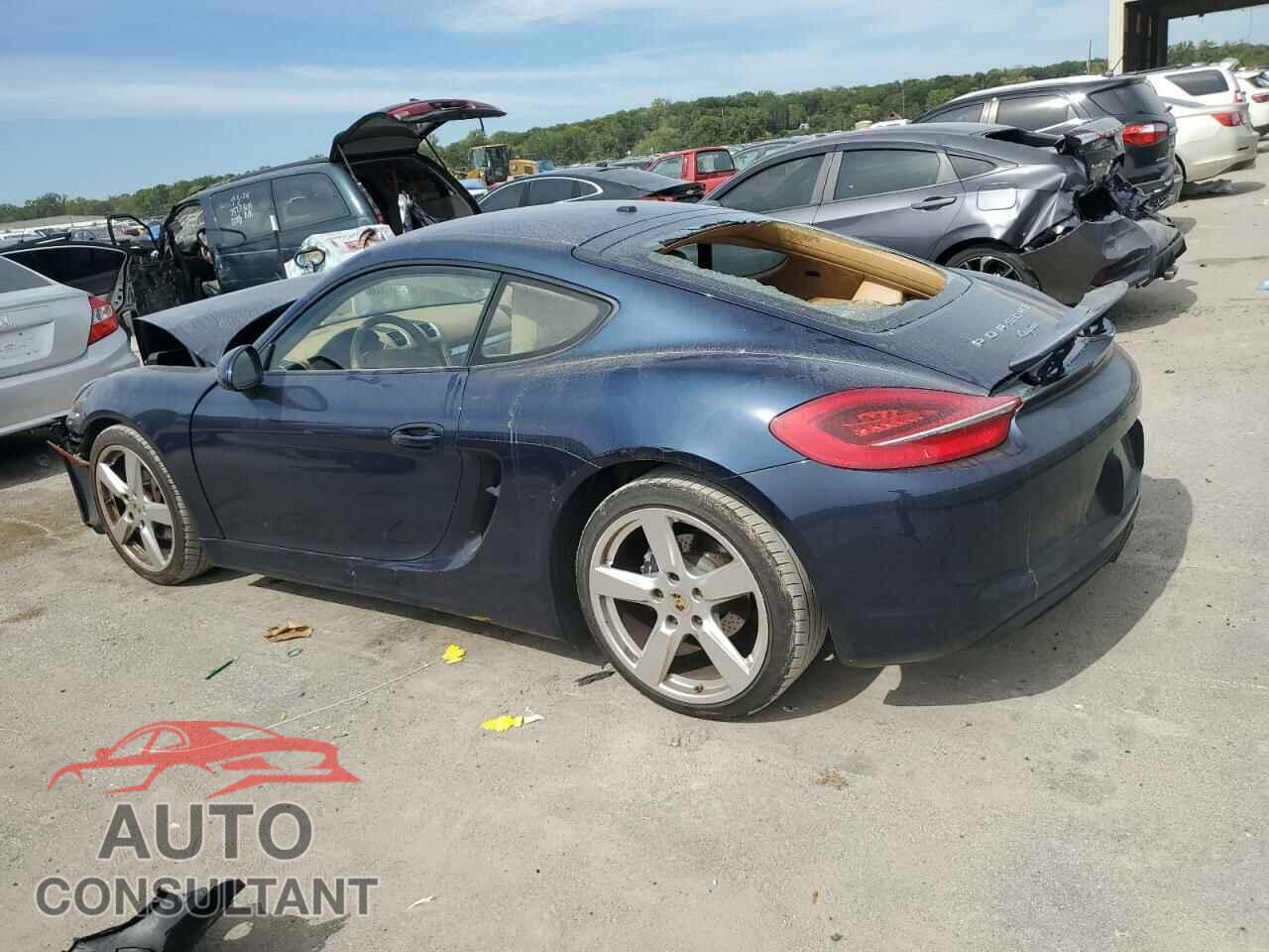 PORSCHE CAYMAN 2014 - WP0AA2A86EK171834