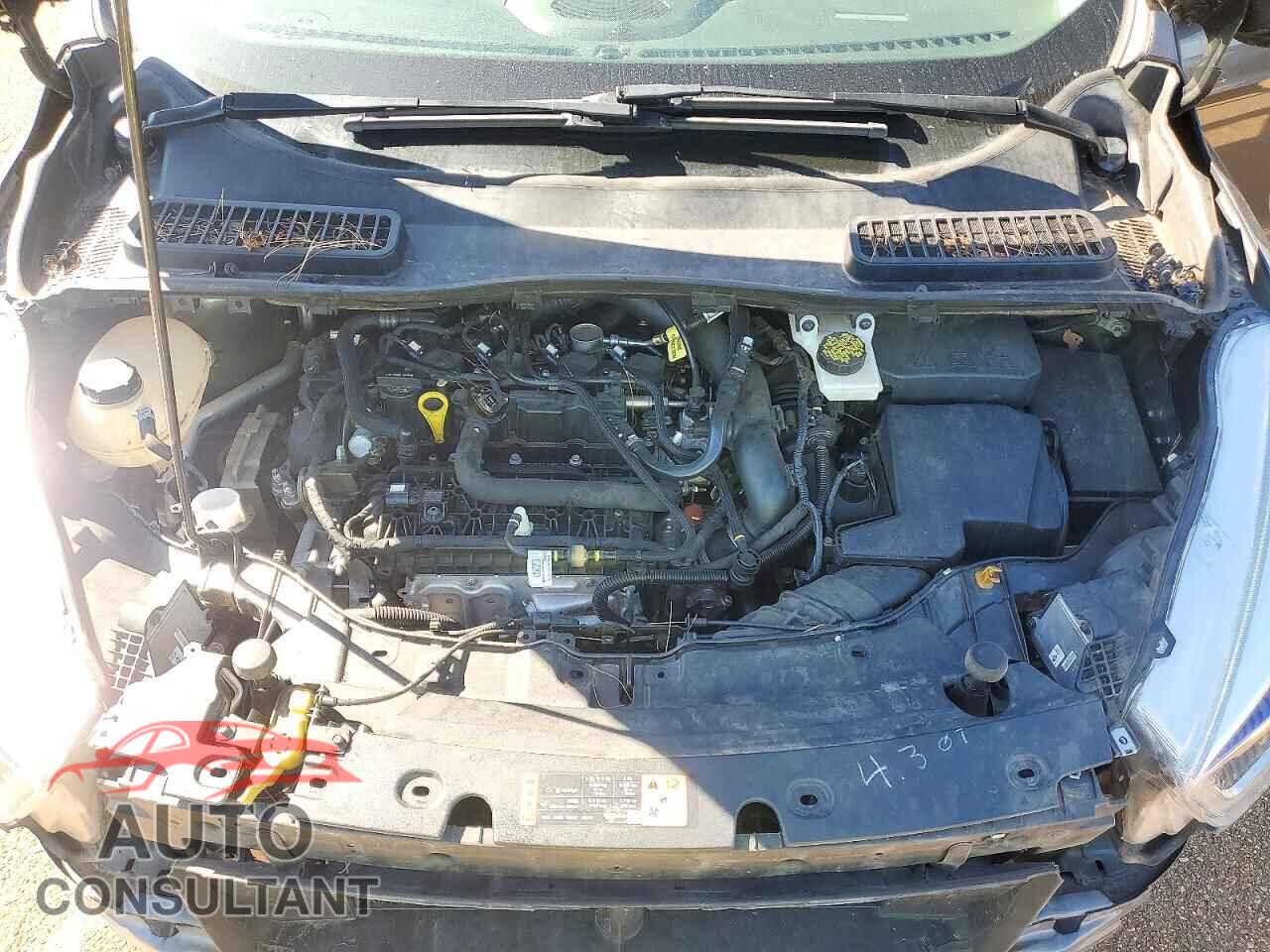 FORD ESCAPE 2019 - 1FMCU0HD1KUC02846