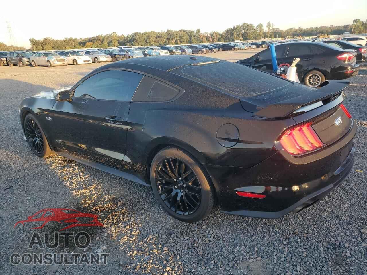 FORD MUSTANG 2019 - 1FA6P8CF6K5174039