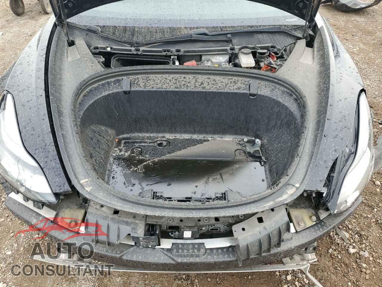 TESLA MODEL 3 2019 - 5YJ3E1EA0KF325337