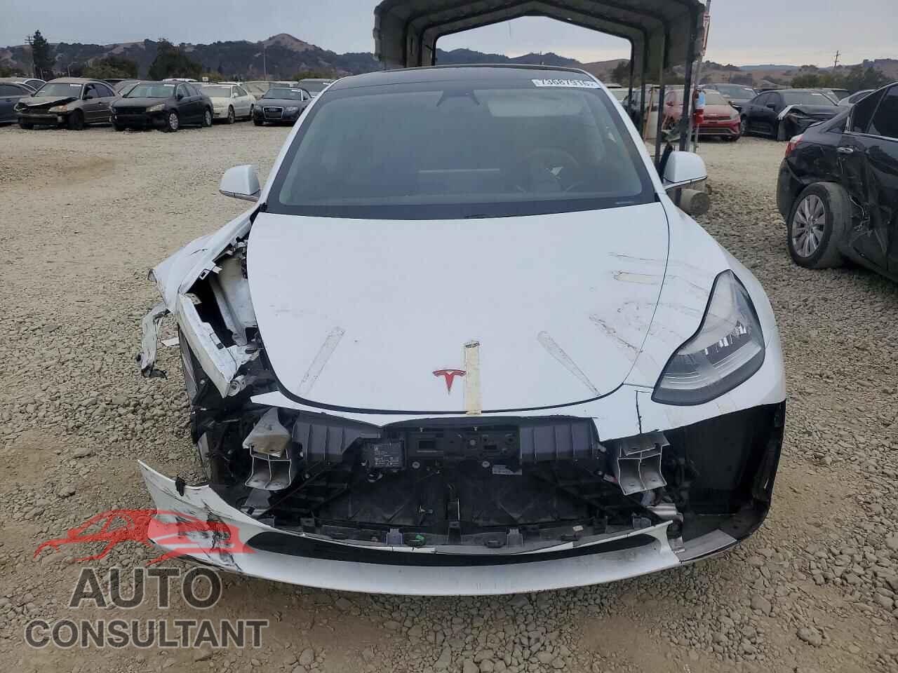TESLA MODEL 3 2019 - 5YJ3E1EA8KF474238
