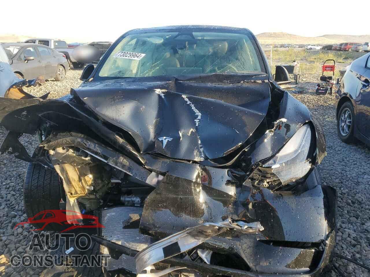 TESLA MODEL Y 2024 - 7SAYGAEE6RF071388
