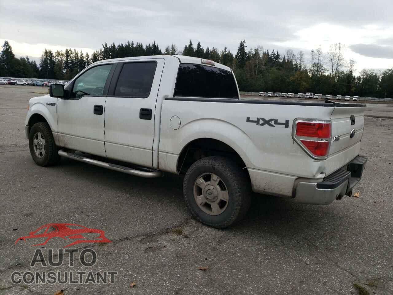 FORD F-150 2013 - 1FTFW1EF2DFB61819